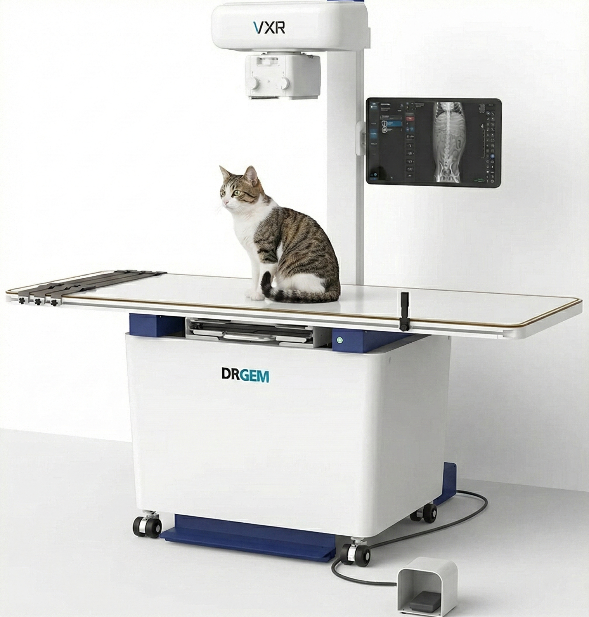 Serie VXR-E/EC - Image 3