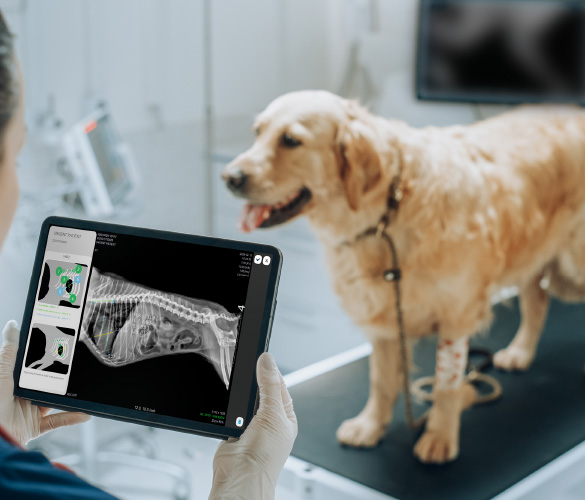 Serie VXR-E/EC - Image 4